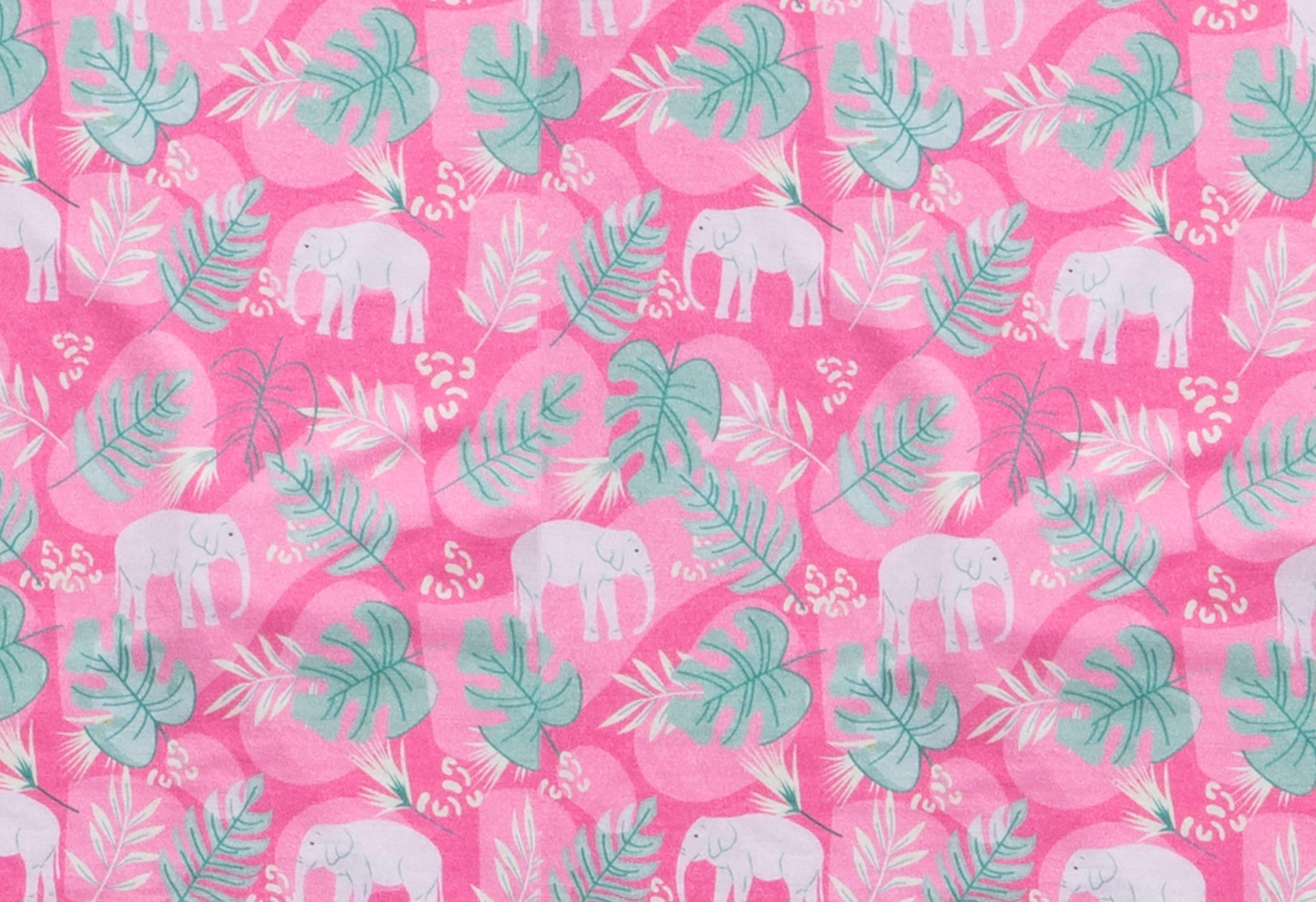 Tropical Elephant Dreams